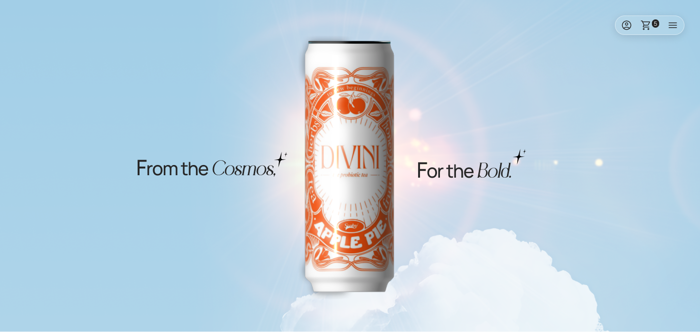 Divini: Brewing Innovation in E-commerce